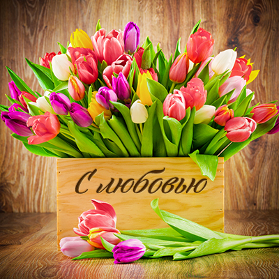 поздравление